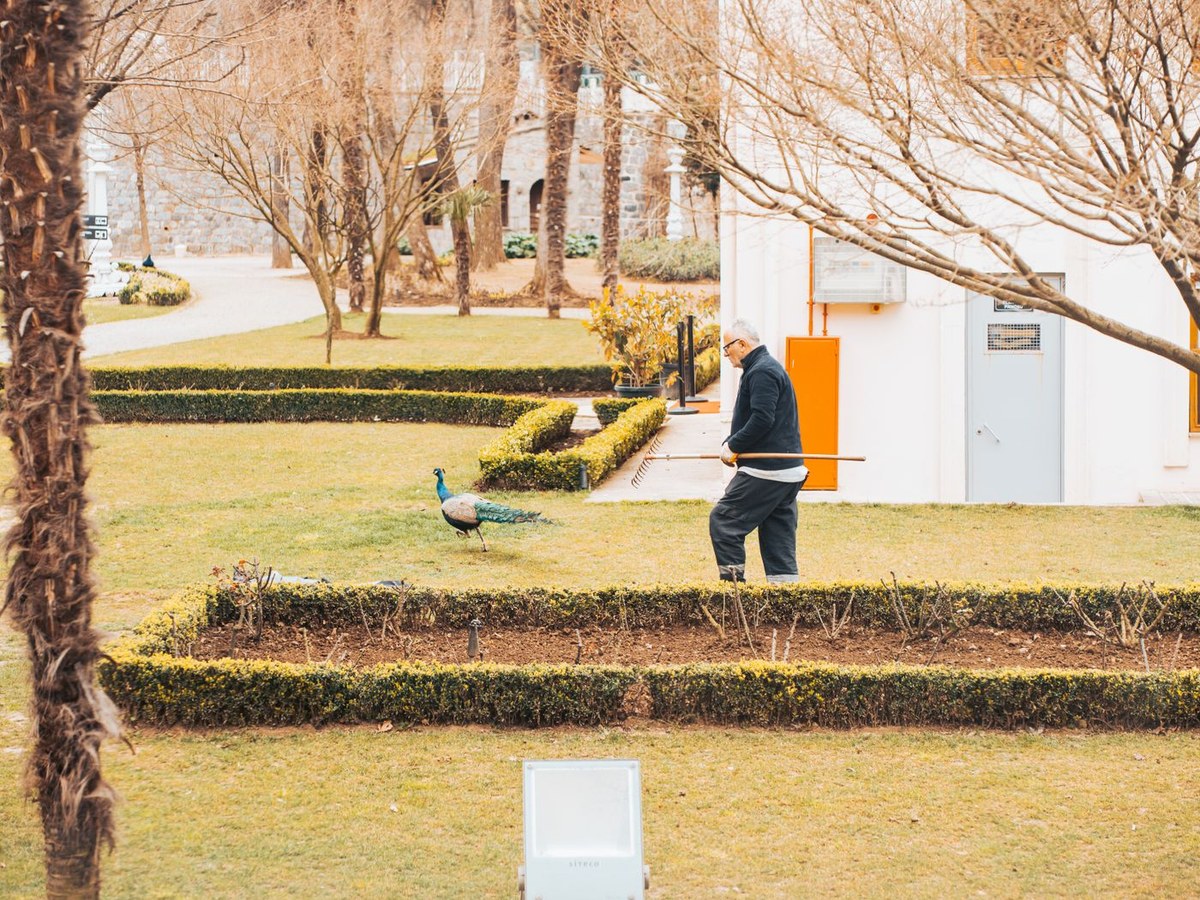Cleanups and seasonal care