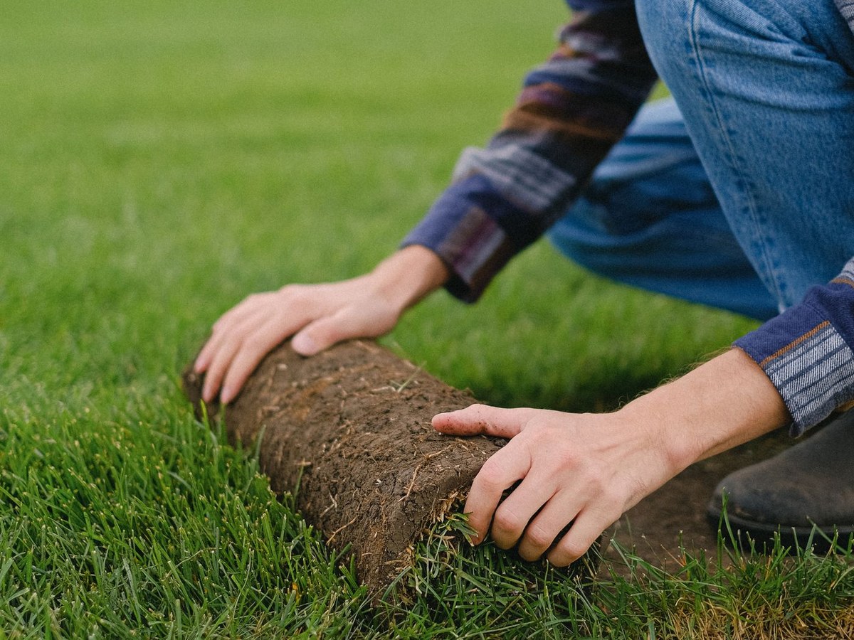 Sod and grading