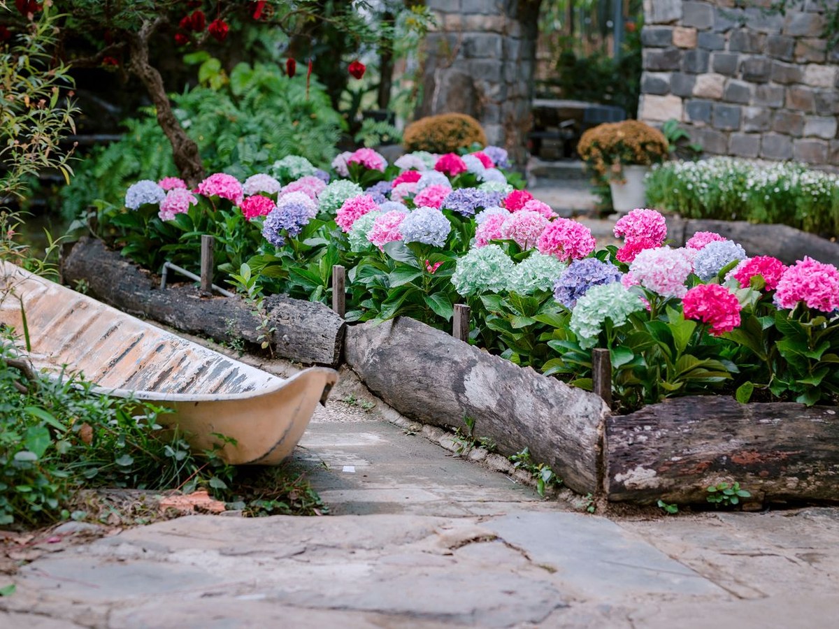 A finished landscaped yard