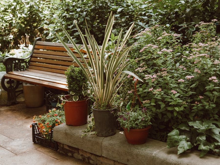 A designed garden bed and stone patio with fresh plantings