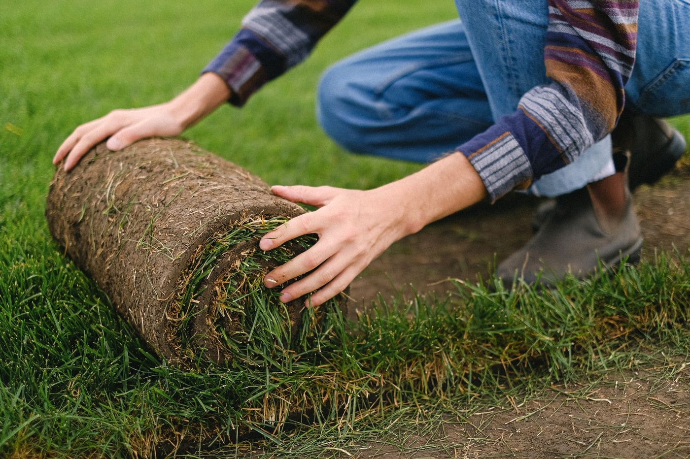 Sod & Grading