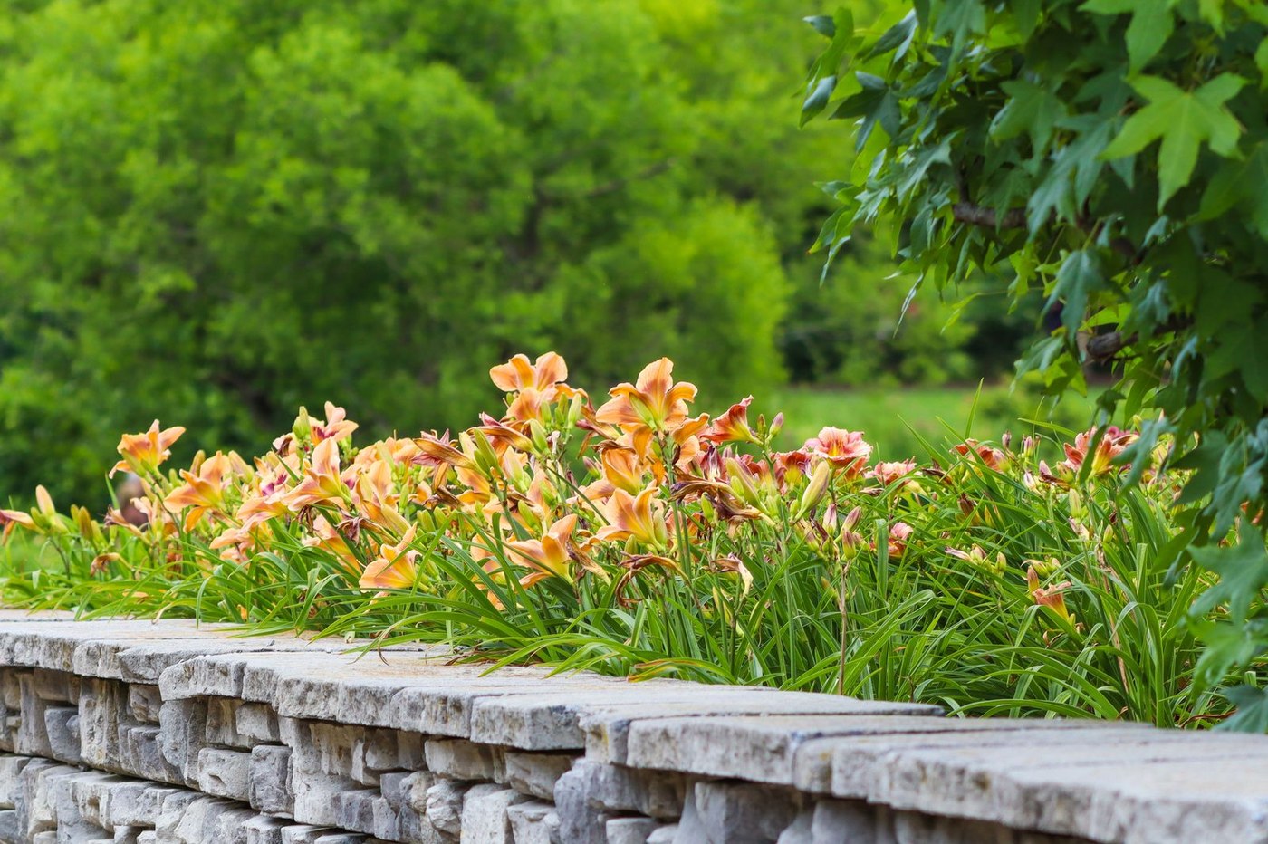 Retaining Walls